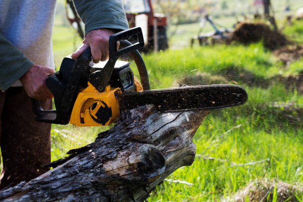 How Our Tree Care Process Works  in  Bar Nunn, WY